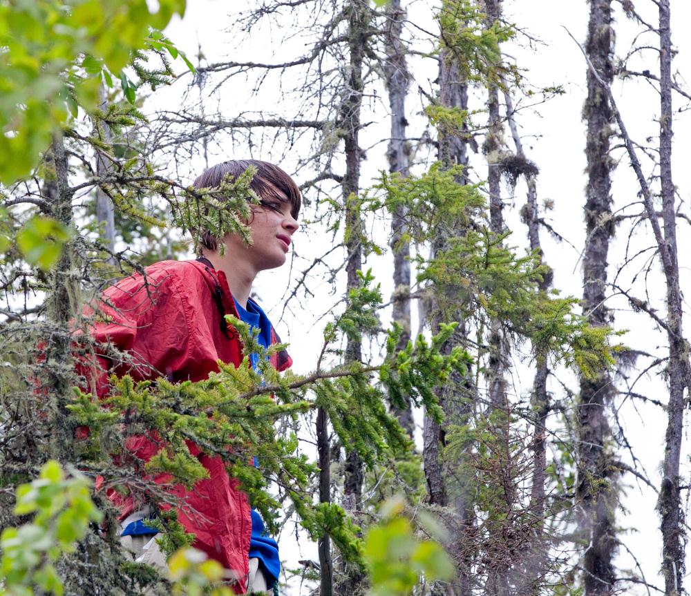Alex peering through the woods near the shoreline of Lake Superior