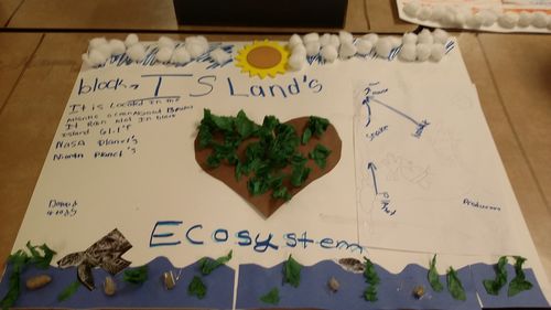 Scholars Ecosystem Project